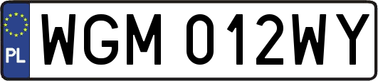 WGM012WY