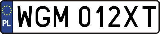 WGM012XT