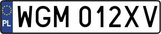 WGM012XV