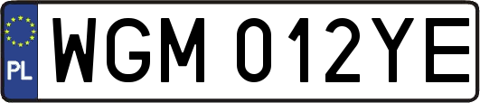 WGM012YE