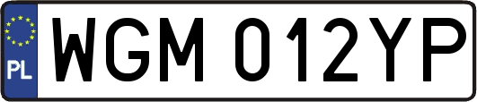 WGM012YP