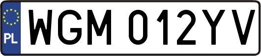 WGM012YV