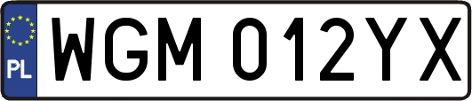 WGM012YX