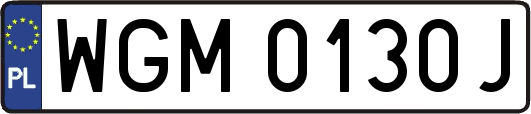 WGM0130J