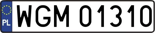 WGM01310