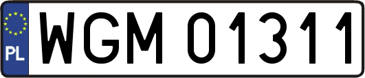 WGM01311