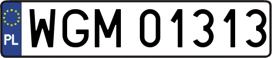 WGM01313