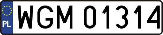 WGM01314