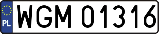 WGM01316
