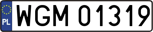 WGM01319