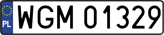 WGM01329