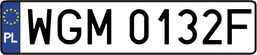WGM0132F