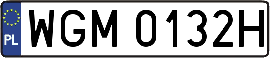 WGM0132H