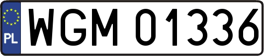 WGM01336