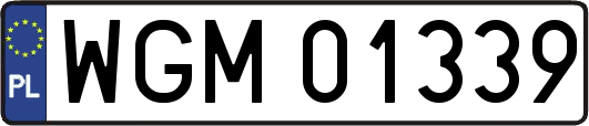 WGM01339