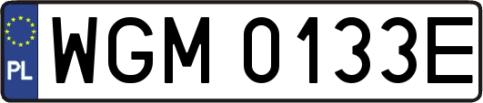 WGM0133E