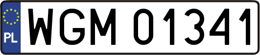 WGM01341