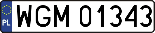 WGM01343