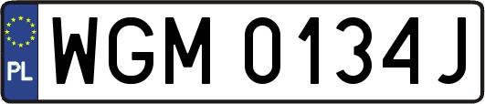 WGM0134J