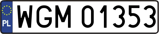 WGM01353