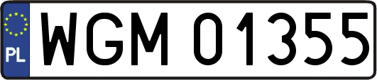 WGM01355