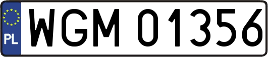 WGM01356
