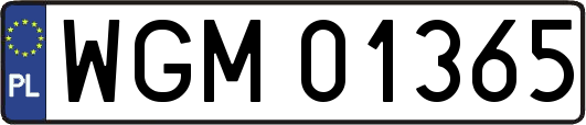 WGM01365