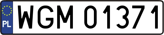 WGM01371