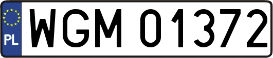 WGM01372
