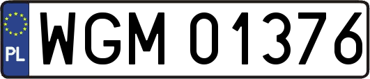 WGM01376