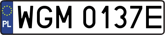 WGM0137E