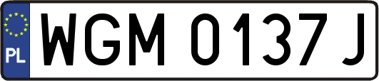 WGM0137J