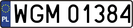 WGM01384