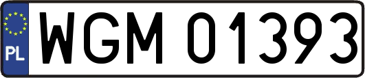 WGM01393