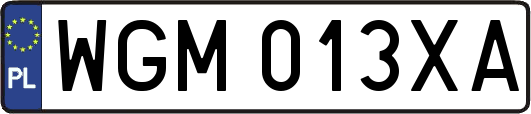 WGM013XA