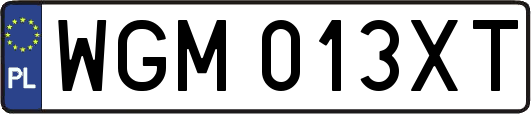 WGM013XT
