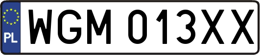 WGM013XX