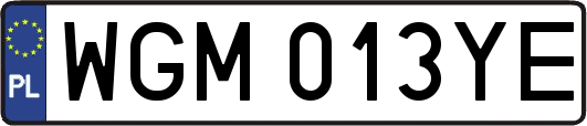 WGM013YE
