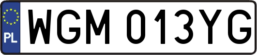 WGM013YG