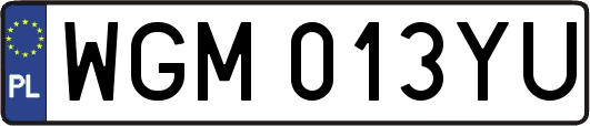 WGM013YU