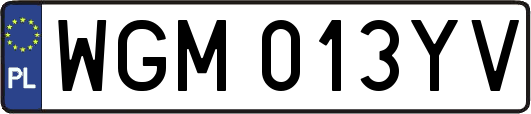 WGM013YV