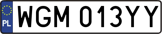 WGM013YY