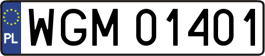 WGM01401