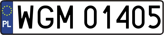 WGM01405