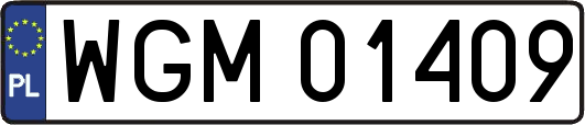WGM01409