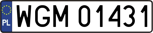 WGM01431