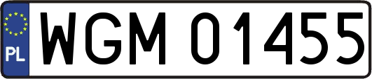 WGM01455