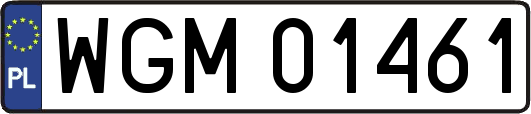 WGM01461