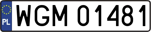 WGM01481