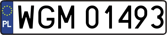 WGM01493